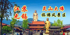 草B视频观看江苏无锡灵山大佛旅游风景区